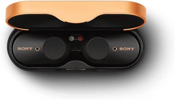 Sony WF-1000XM3 True Wireless Bluetooth Noise Canceling in-Ear Headphones Black